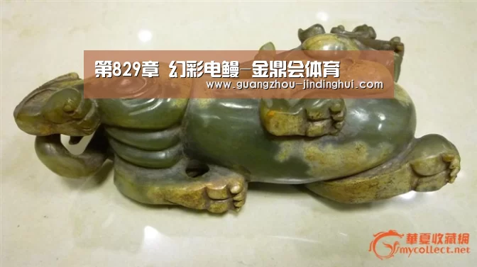 第829章 幻彩电鳗-金鼎会体育(图1) 金鼎会平台官网