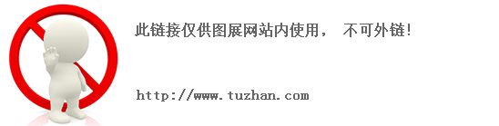 金鼎会体育直播